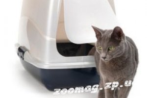 ������� ����� ����������� ������ ��� ��� ������� ��� ����� � ����� ��������� ������� ��������