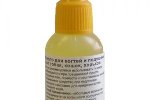 ������������ ��� ����� � ����� ��������� ������� ��������