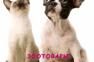 ������ ��� ���������� �����