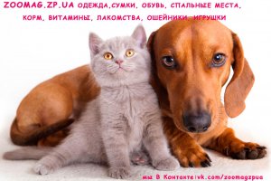 ����� ������ ������� ��� ����� �������� �� �������