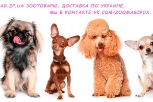 ������ �������� ����� ����� ����� ��� ����� ����� ��� ����� 