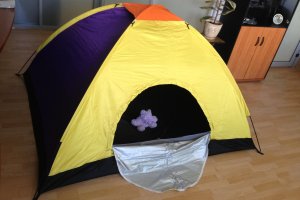 ������� 3-� �������