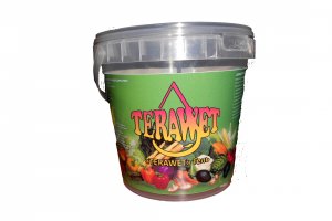 ���� ���� �������