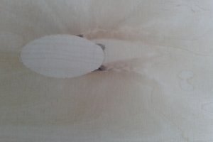 ������ ��� ������