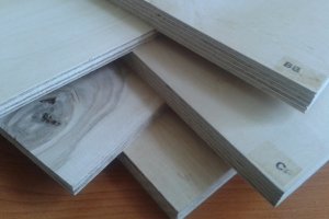 ������ 21��