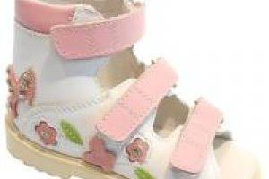 �������������� �����