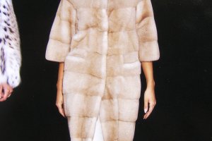 ���� � �������